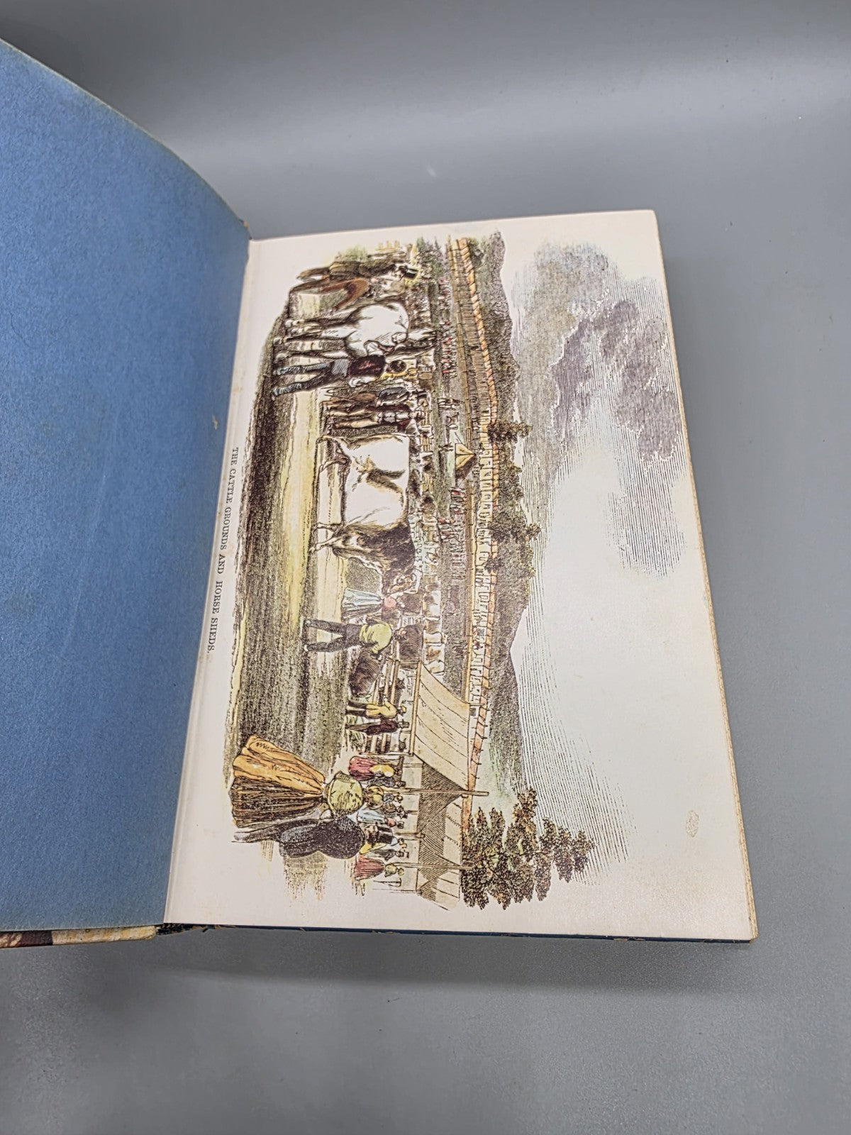 Blue Ribbon Recipes County Fair Winners Vintage 1968 Cookbook Hardcover 