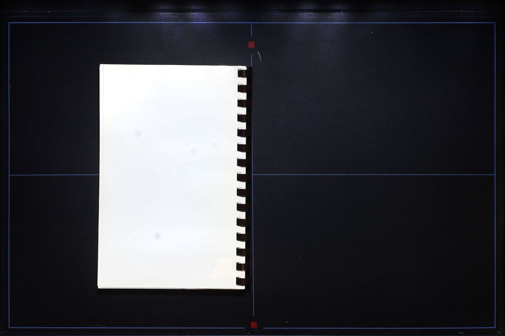 Tasty Chestnut Recipes (1995, 2nd Edition) - Coleman - Vintage Cookbook