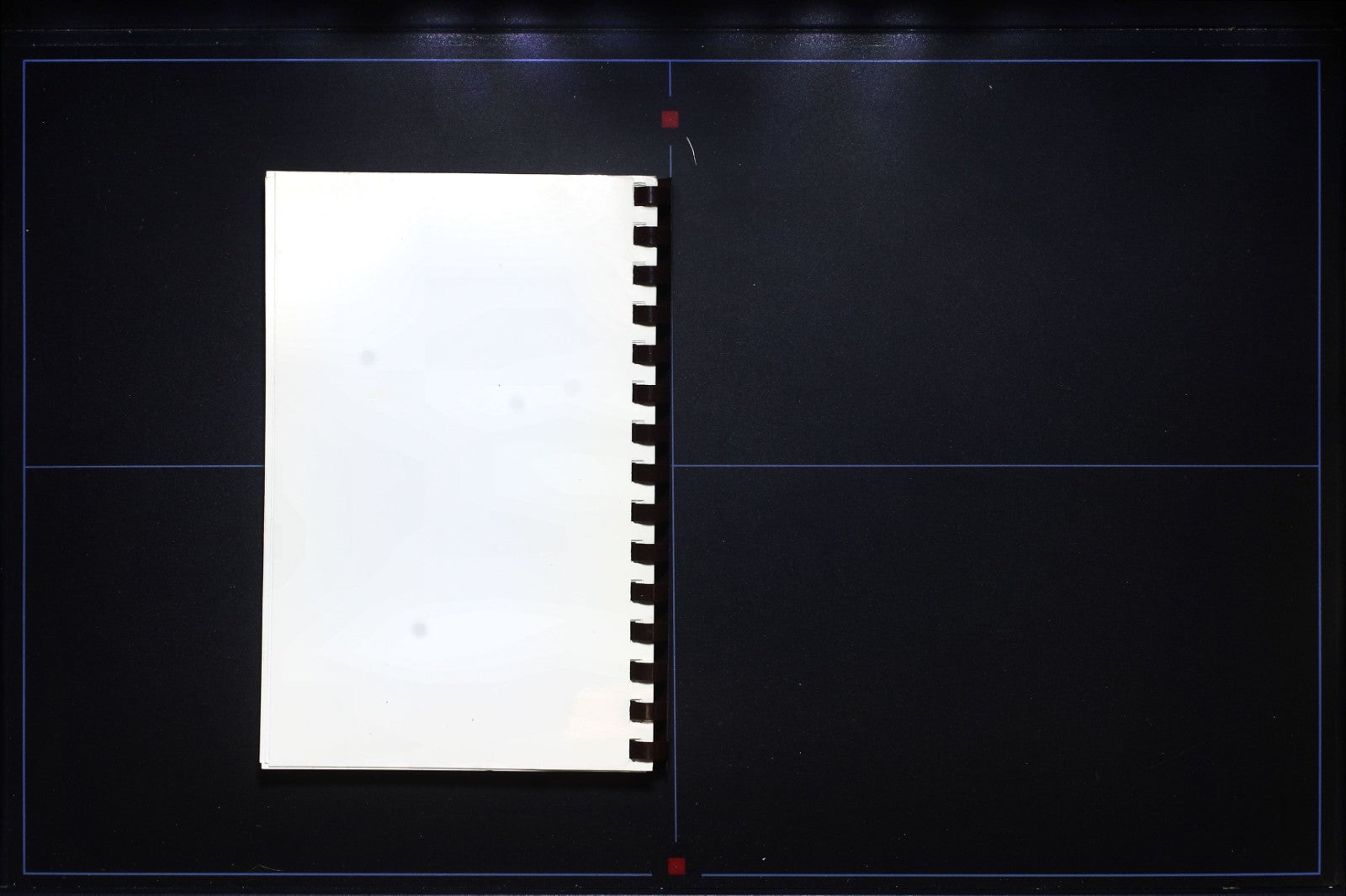 Tasty Chestnut Recipes (1995, 2nd Edition) - Coleman - Vintage Cookbook