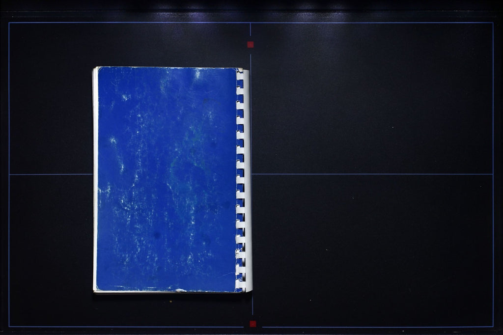 Lions Gourmet Cookbook (1996) - Vintage Recipes - Red Bank High School Tennessee