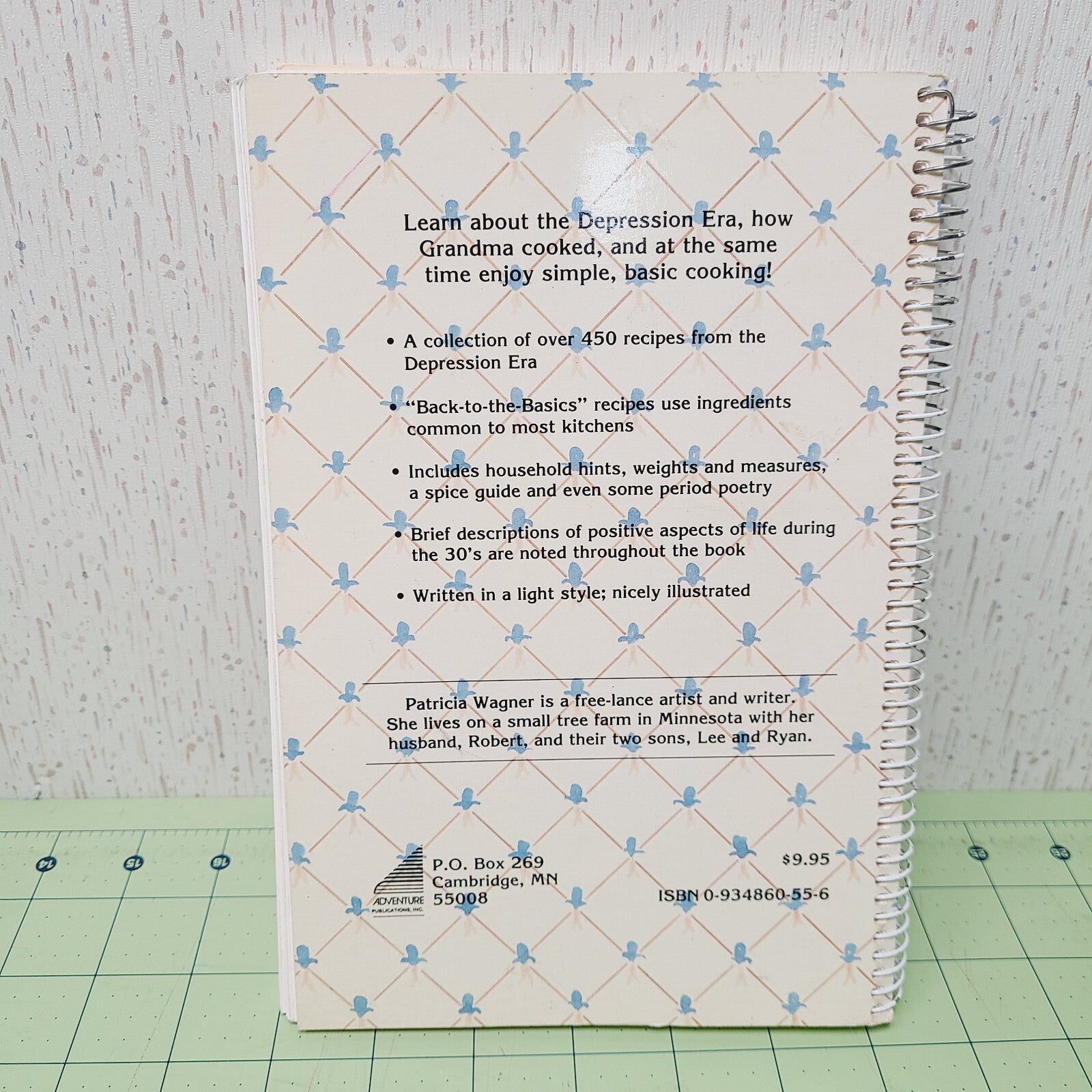 Depression Era Recipes (1991) - Vintage Cookbook - Favorite Recipes