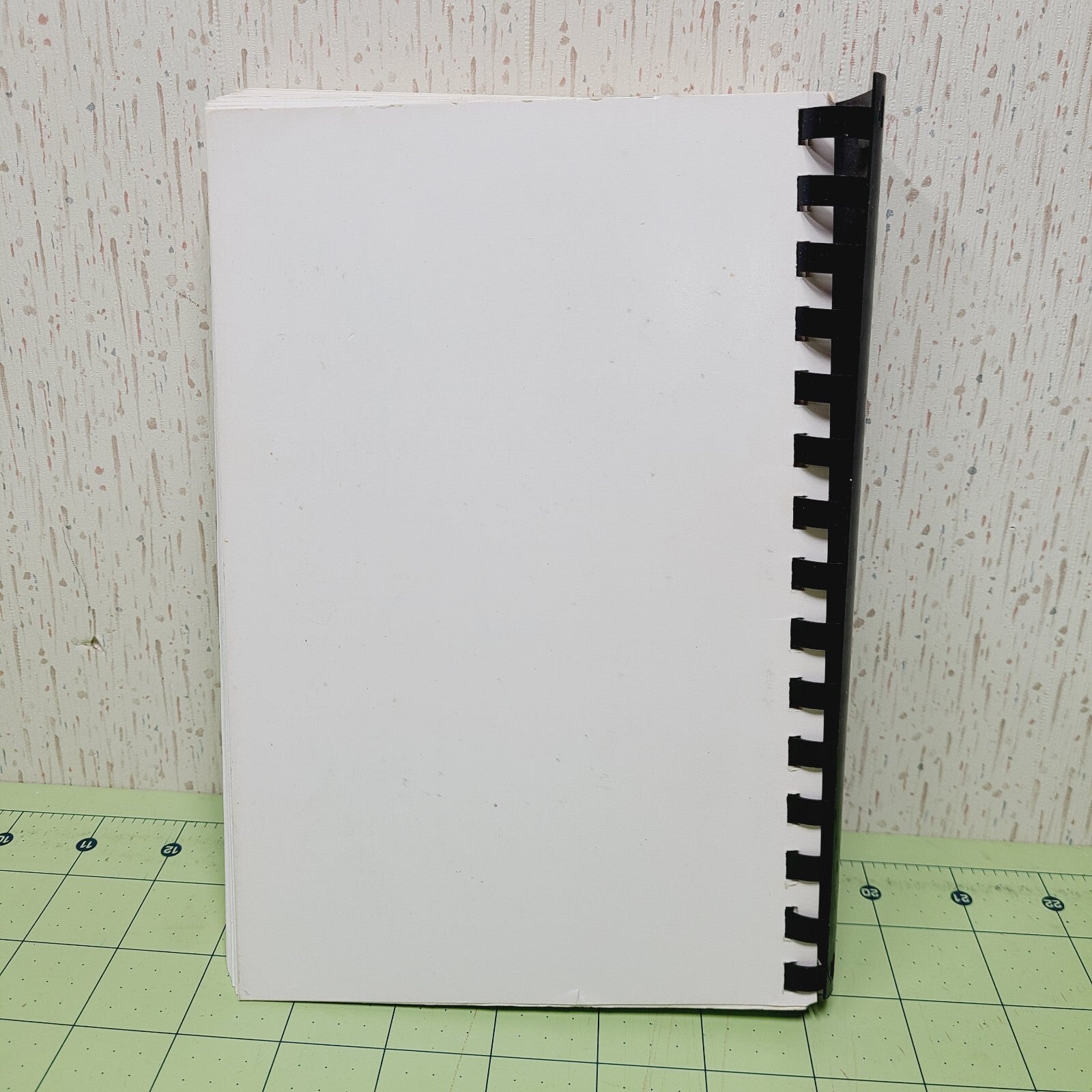 Tastes of Summers Past Cookbook (1989) 38th Square Dance Convention OKC Oklahoma