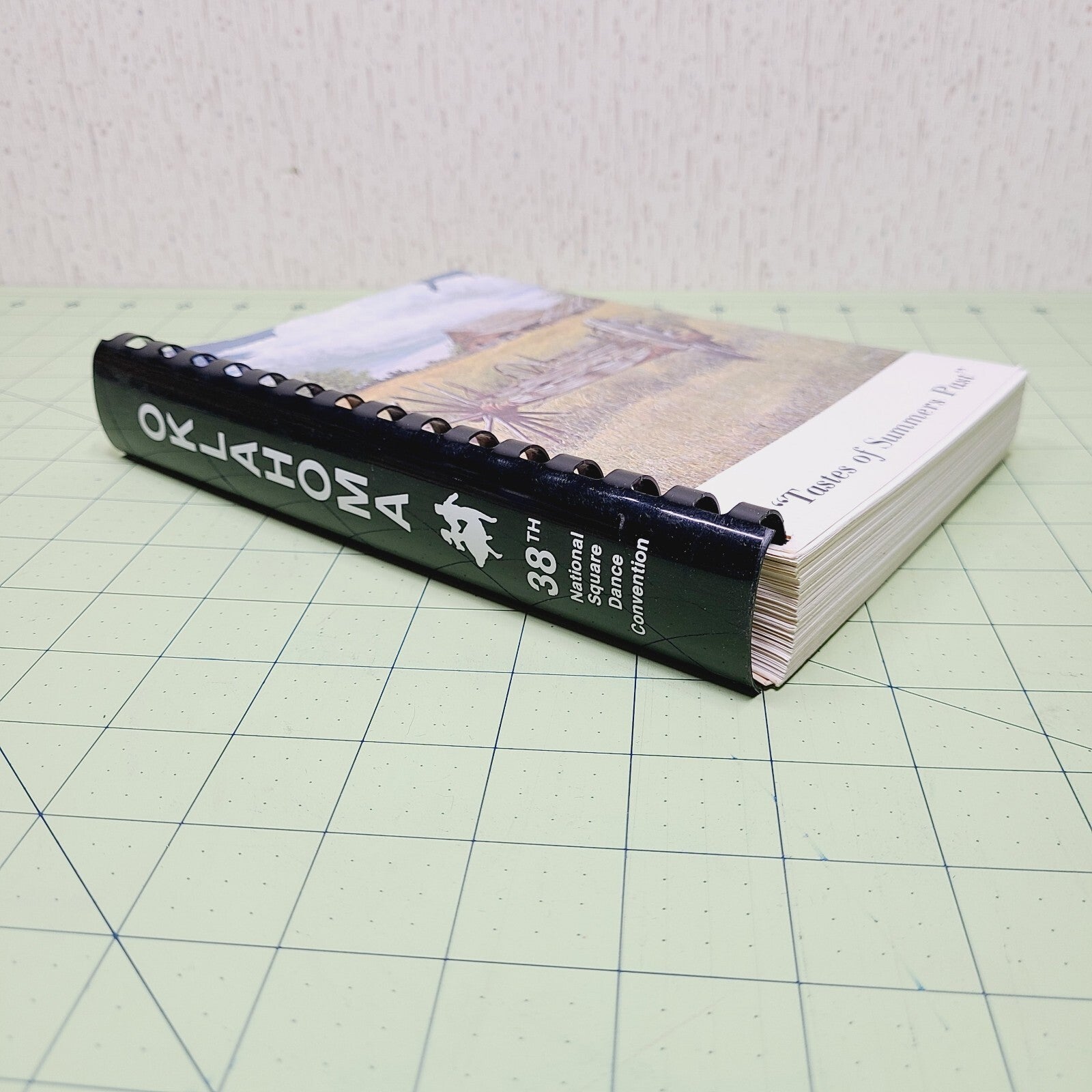 Tastes of Summers Past Cookbook (1989) 38th Square Dance Convention OKC Oklahoma