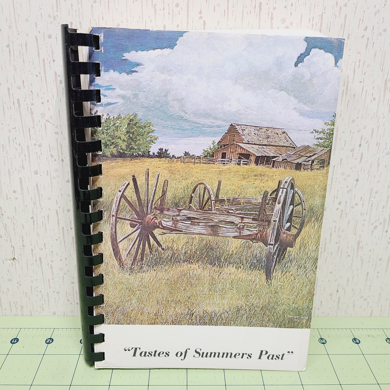 Tastes of Summers Past Cookbook (1989) 38th Square Dance Convention OKC Oklahoma