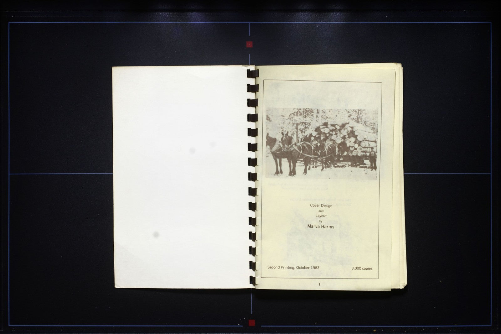 The Old Country Cookbook Iron Range Ethnic (1983) - Vintage Scandinavian Recipes