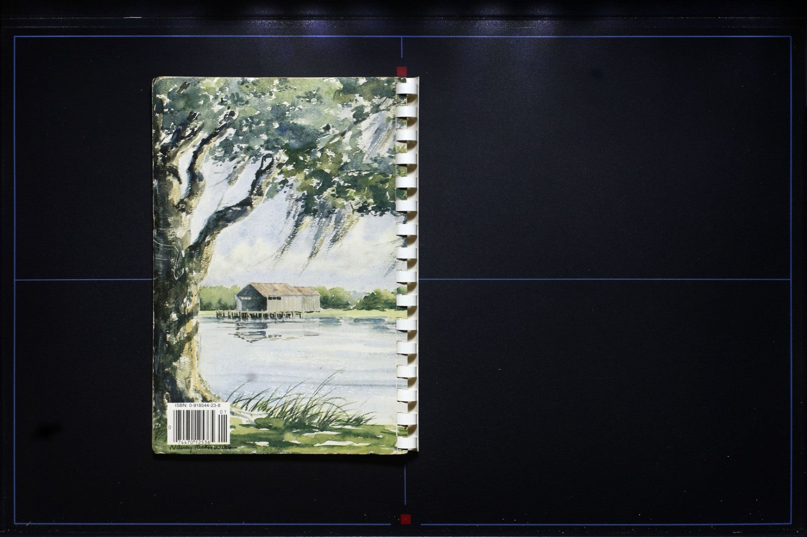 Catch of the Day: Southern Seafood Secrets Cookbook - Vintage Recipes