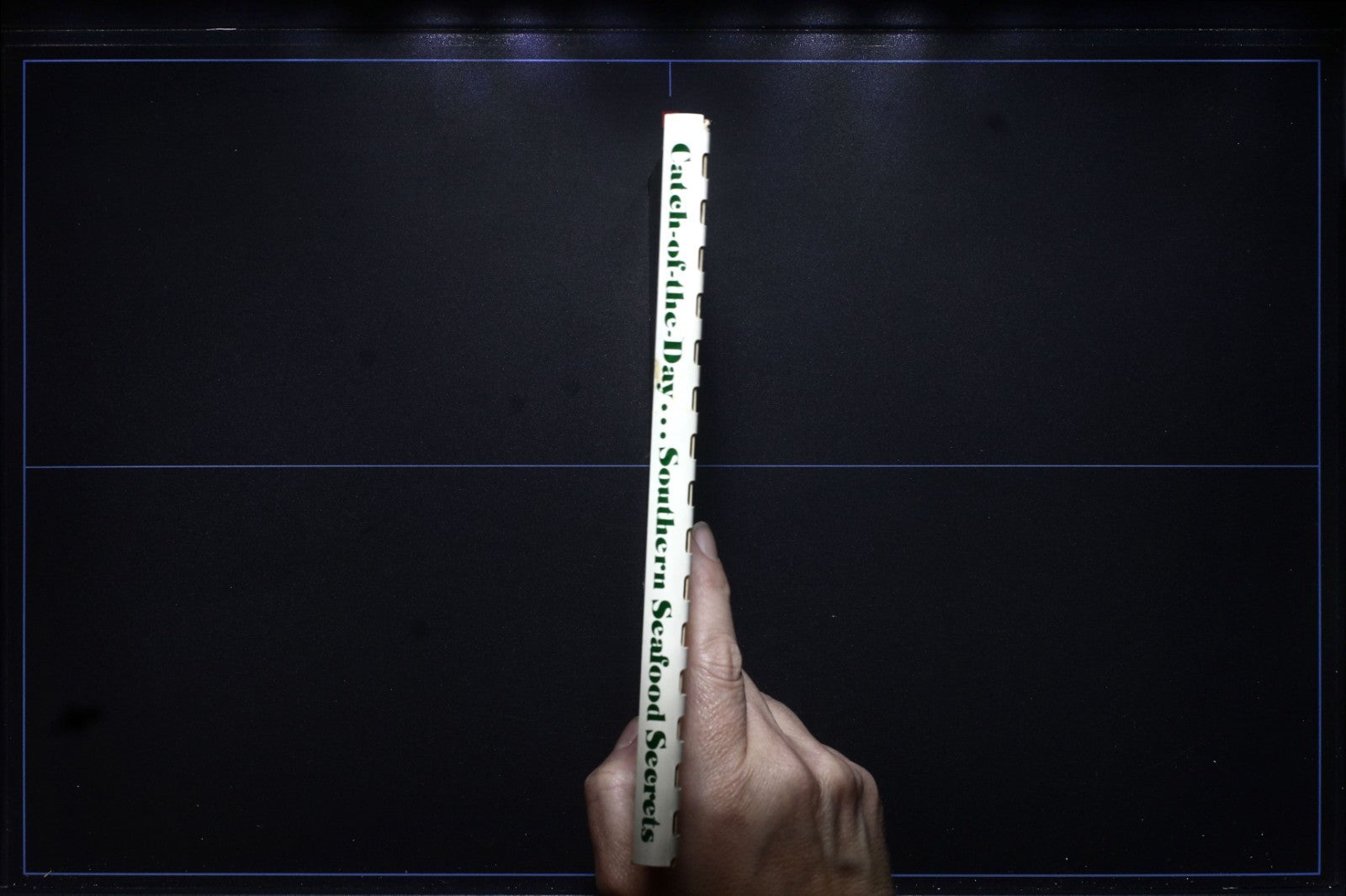 Catch of the Day: Southern Seafood Secrets Cookbook - Vintage Recipes