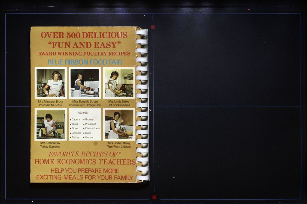 Blue Ribbon Poultry Cookbook - Favorite Recipes Home Economic Teachers 70s