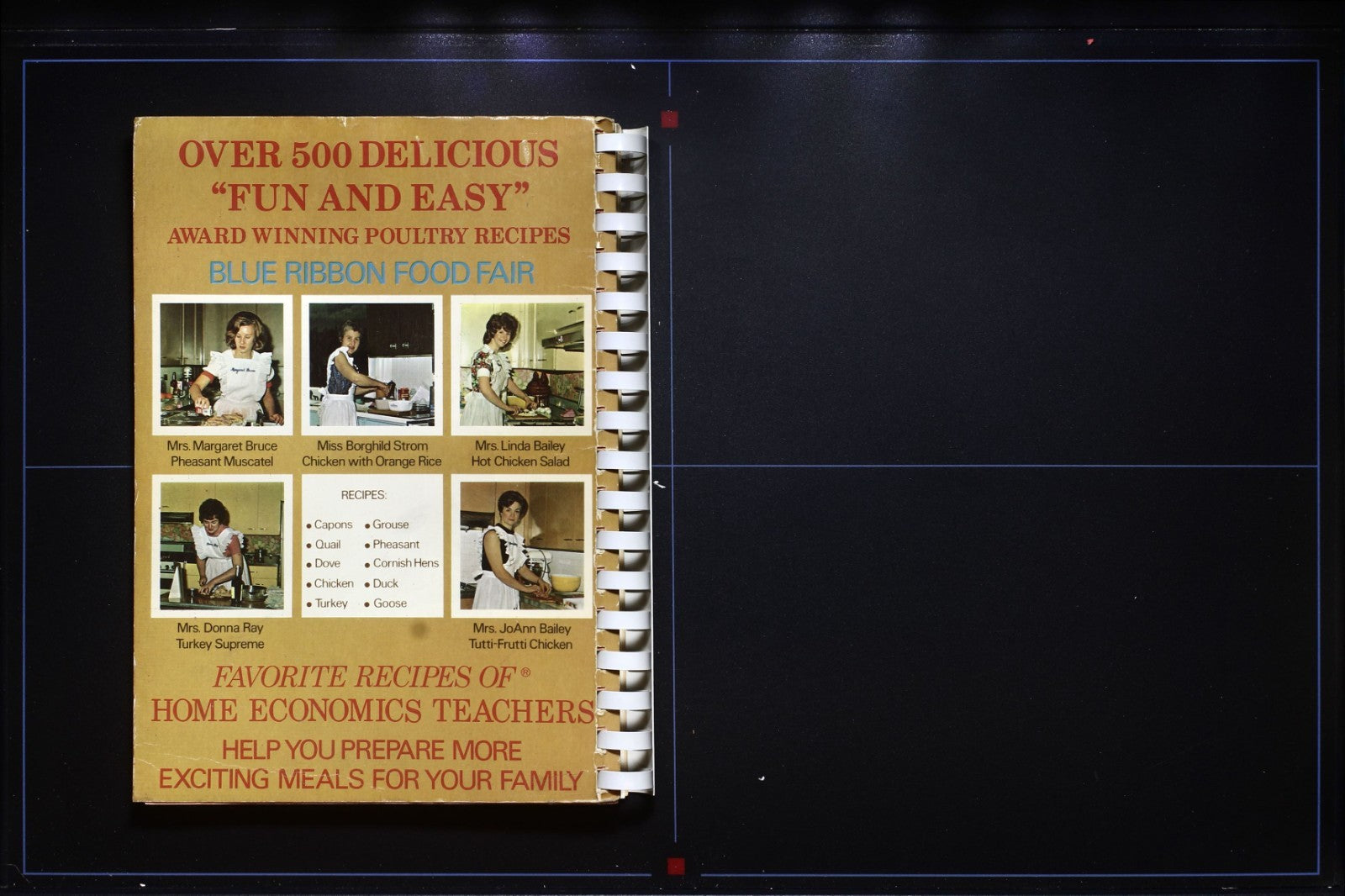 Blue Ribbon Poultry Cookbook - Favorite Recipes Home Economic Teachers 70s