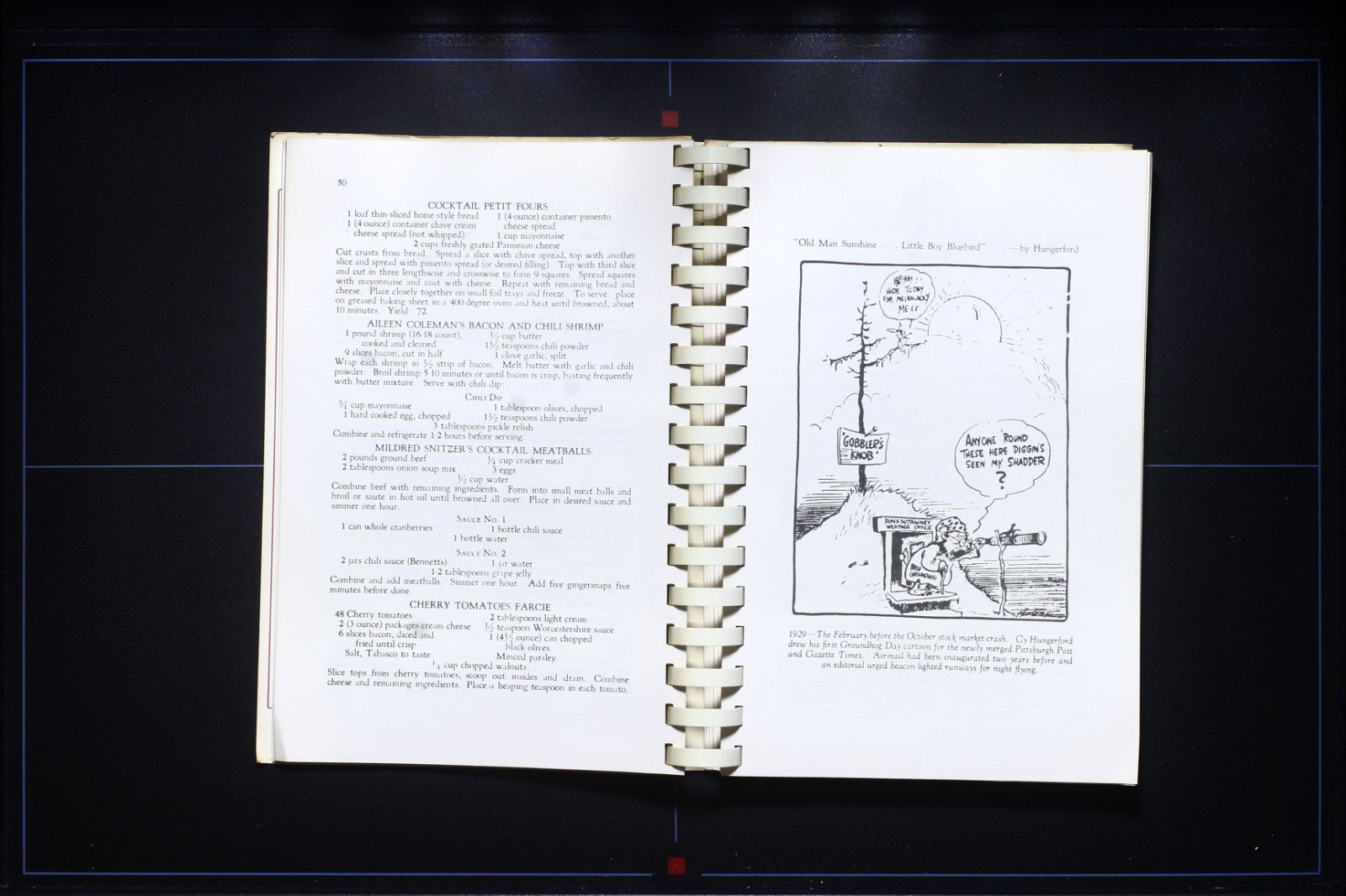 Gourmets & Groundhogs Cookbook - Easter Seal Society - Pennsylvania - Vintage