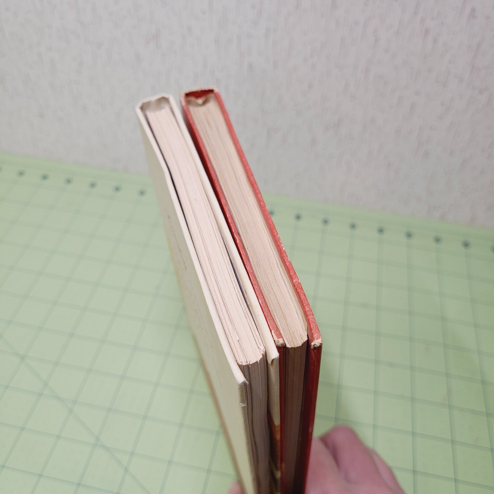 Lot of 2 - Campbell's Cookbooks - Vintage Recipes