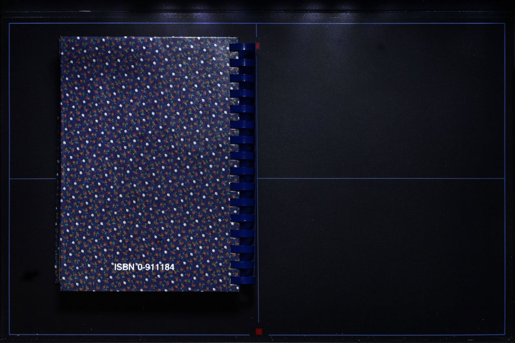 Simply Delicious (1992) Cookbook - Arkansas Extension Recipes - Vintage 90s