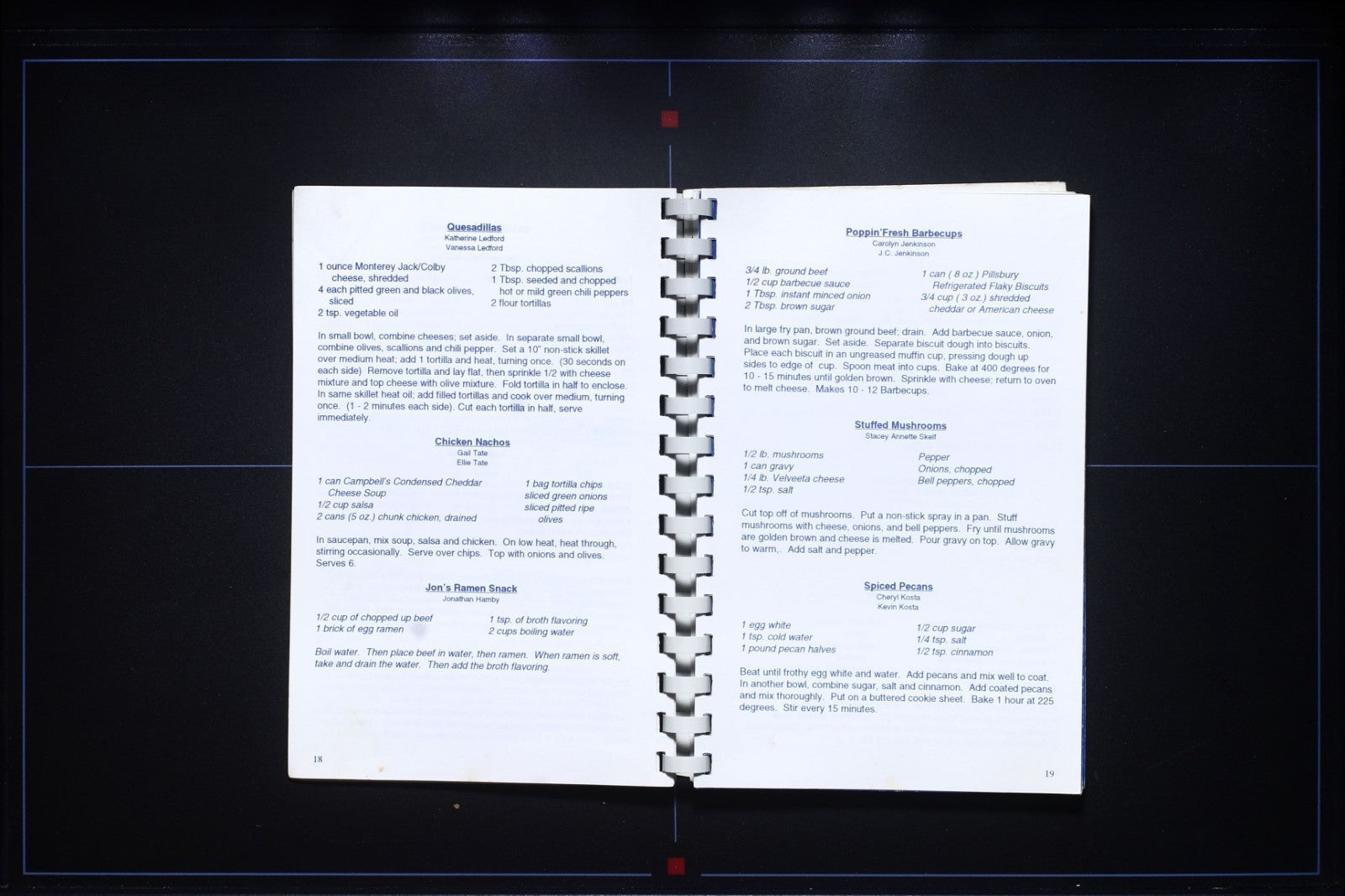 Lions Gourmet Cookbook (1996) - Vintage Recipes - Red Bank High School Tennessee