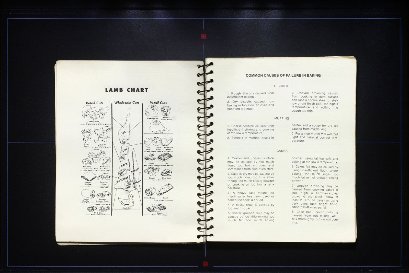 Gutknecht Gourmet Goodies (1984) - Family Cookbook - Vintage Recipes 