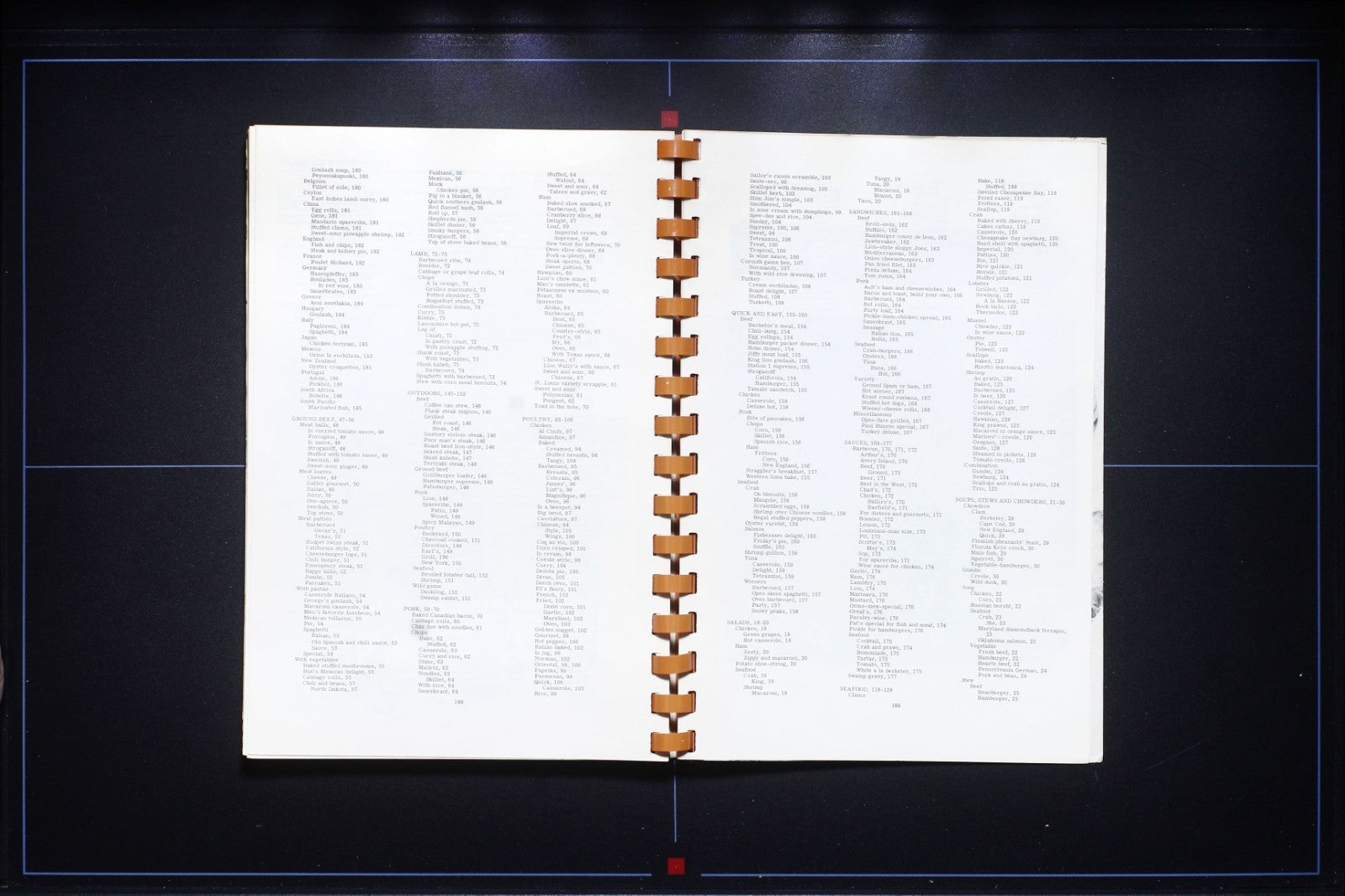 A Lion in the Kitchen: Meats Cookbook - Montgomery, Alabama - Recipes