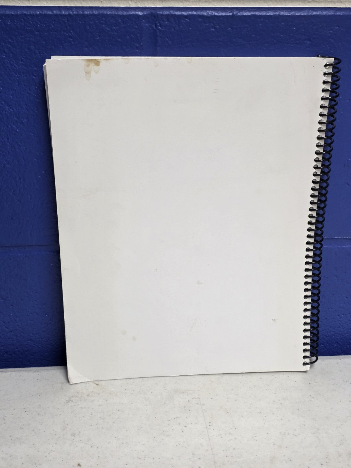 The Watkins Mill Cookbook (2008) - Lawson, Missouri - Spiral