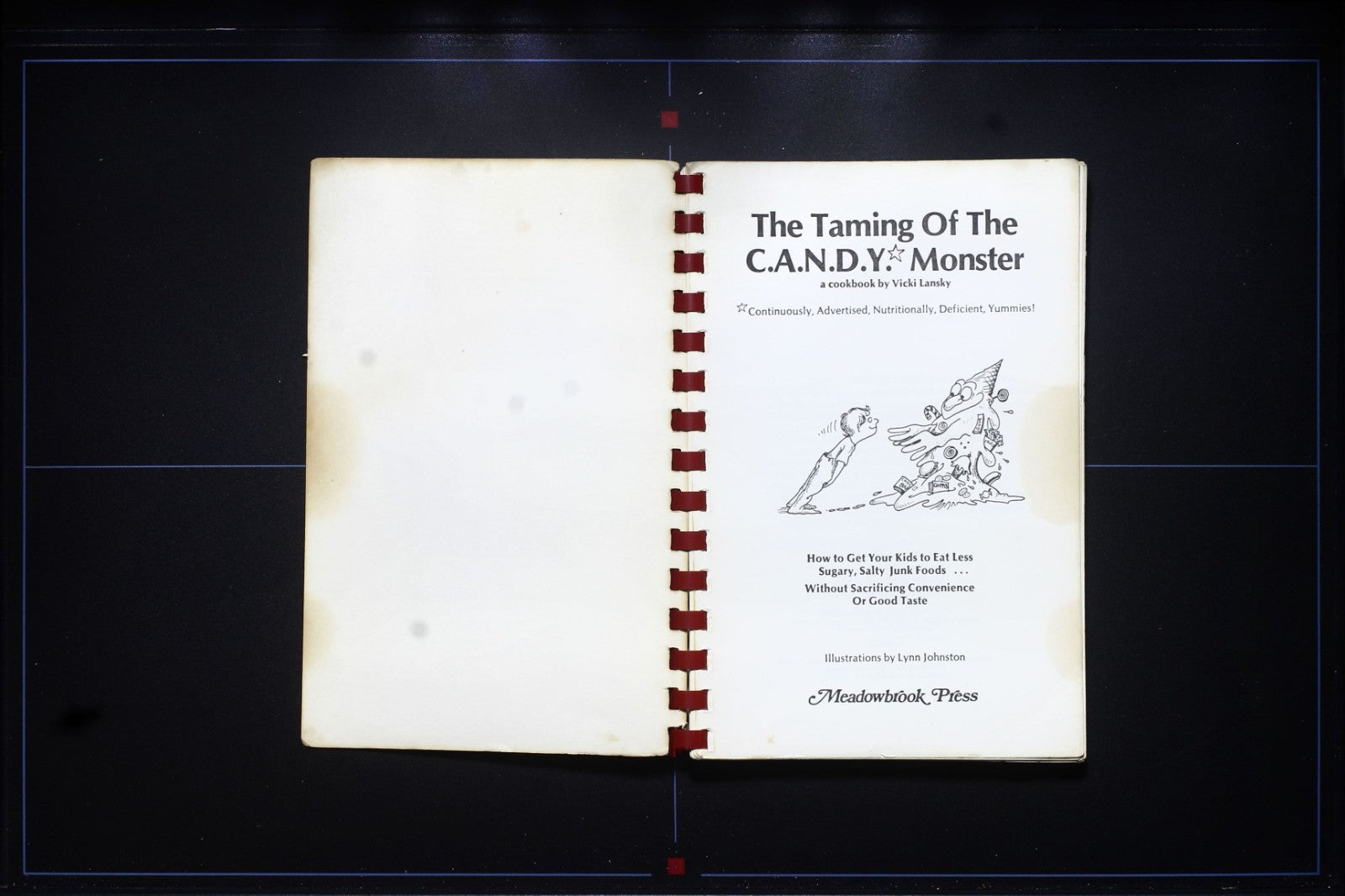The Taming of The Candy Monster Cookbook - Vicki Lansky