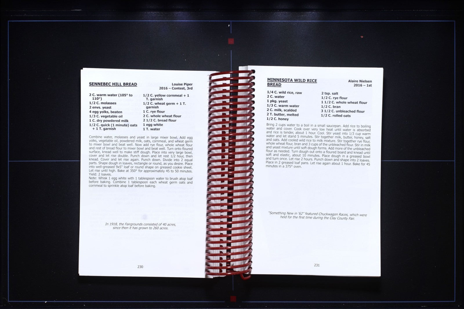 Clay County Fair Blue Ribbon Recipes (2017) Cookbook - Spencer, Iowa