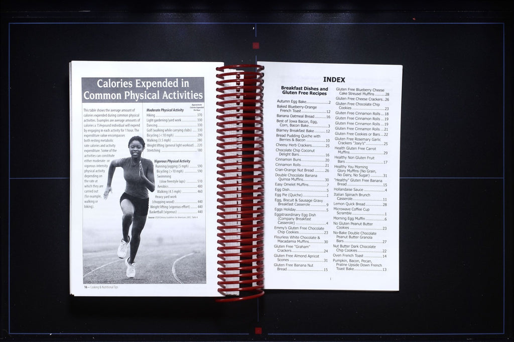 Clay County Fair Blue Ribbon Recipes (2017) Cookbook - Spencer, Iowa