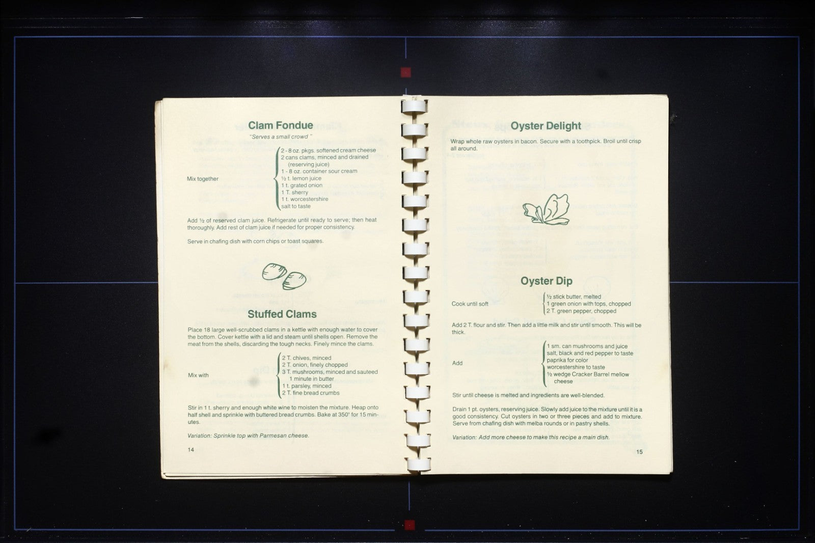 Catch of the Day: Southern Seafood Secrets Cookbook - Vintage Recipes