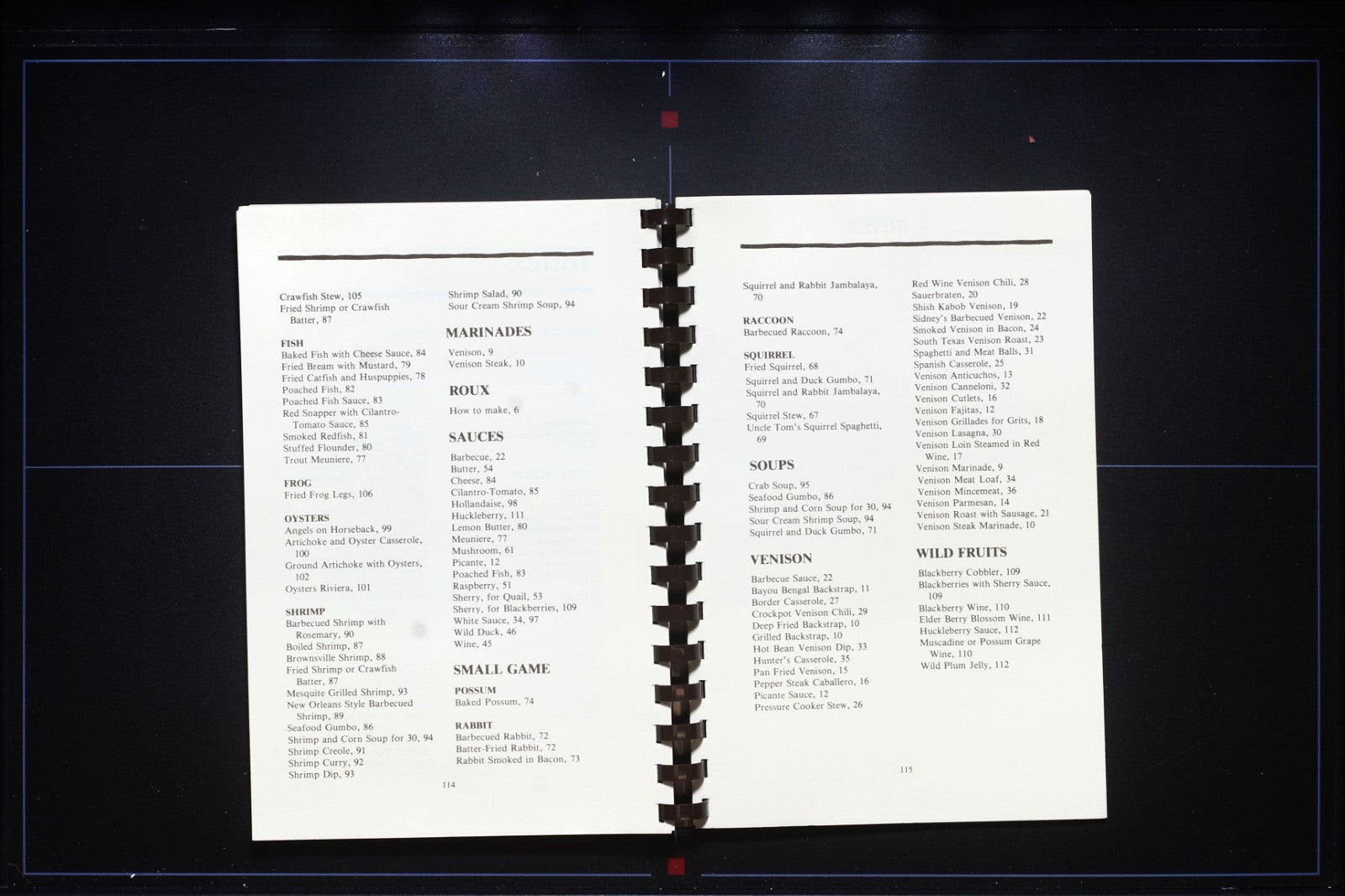 Camouflage Cuisine Wild Game & Seafood Cookbook (2002) - Georgia Recipes South