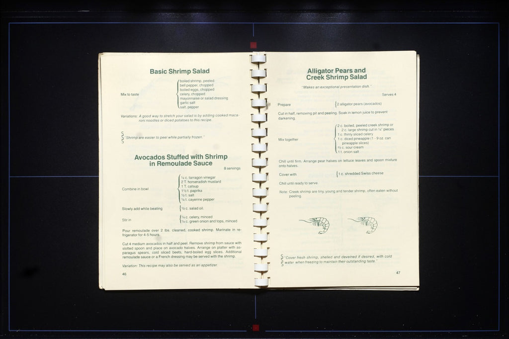 Catch of the Day: Southern Seafood Secrets Cookbook - Vintage Recipes