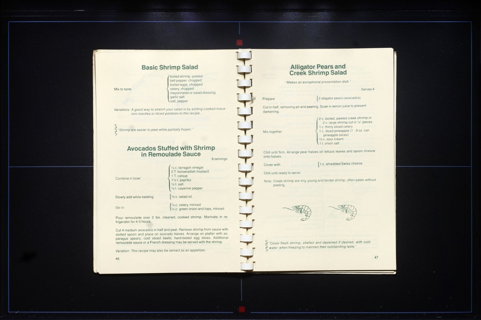 Catch of the Day: Southern Seafood Secrets Cookbook - Vintage Recipes