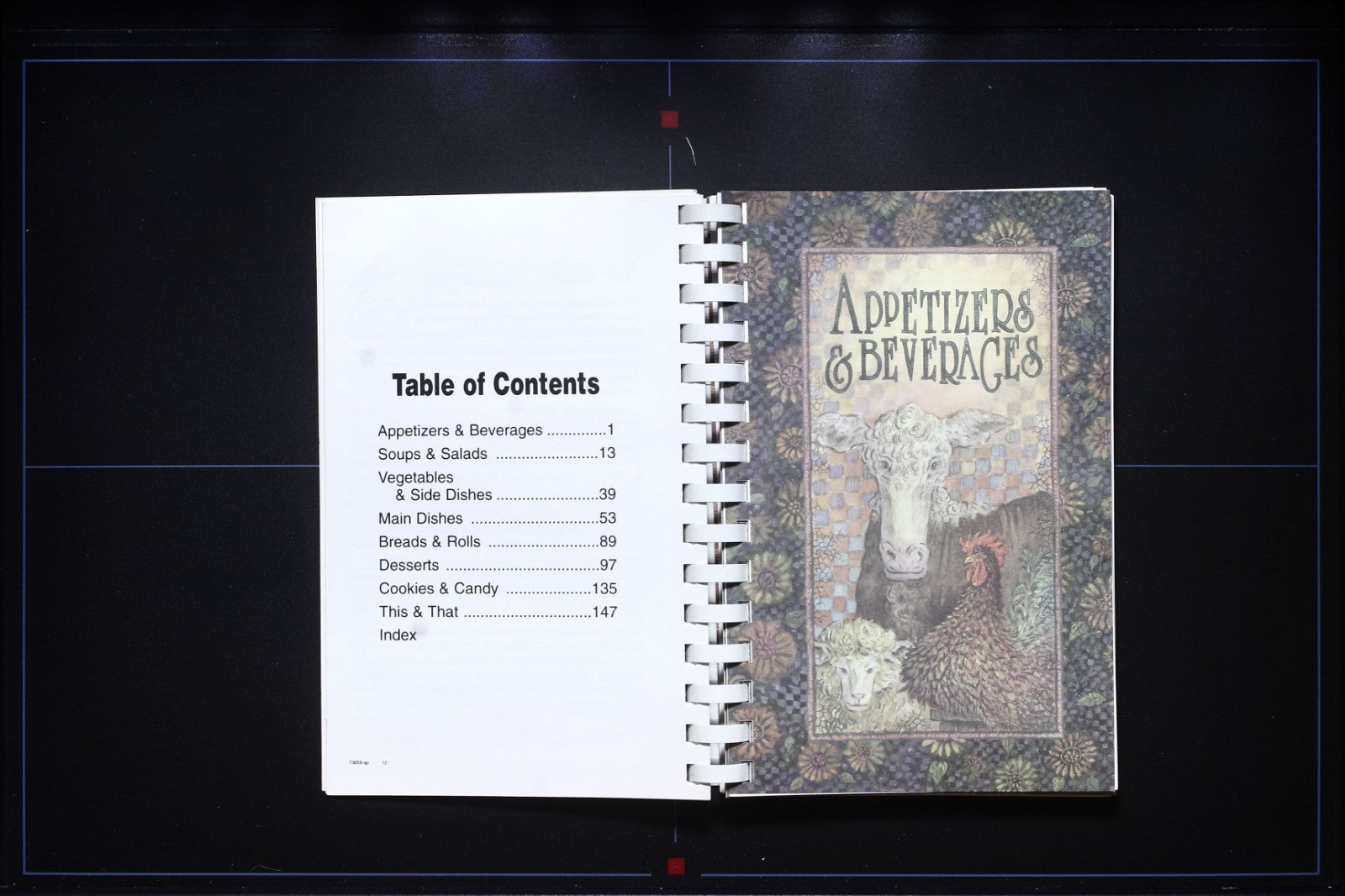 Volunteer Fire Department (2006) - Lake Whitney, Bosque County, Texas - Cookbook