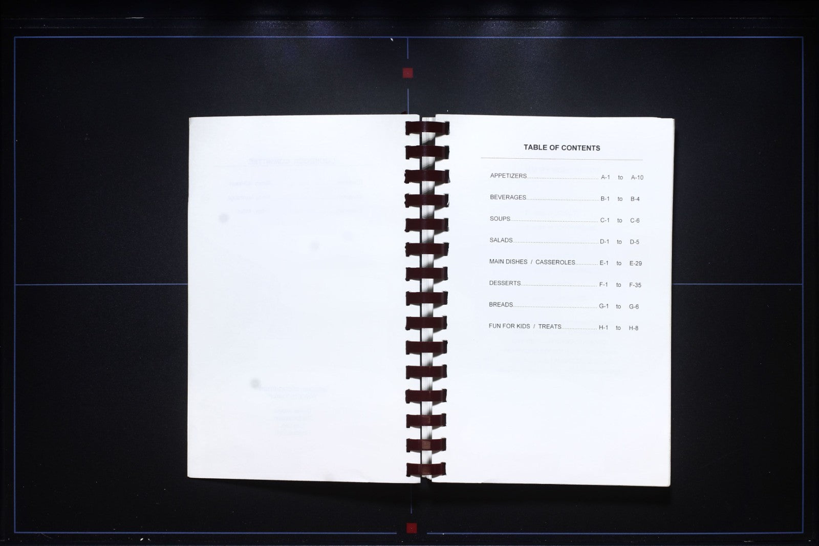 Midwest Data Center Cookbook (1995) - Rock Port, Missouri - Vintage Recipes 
