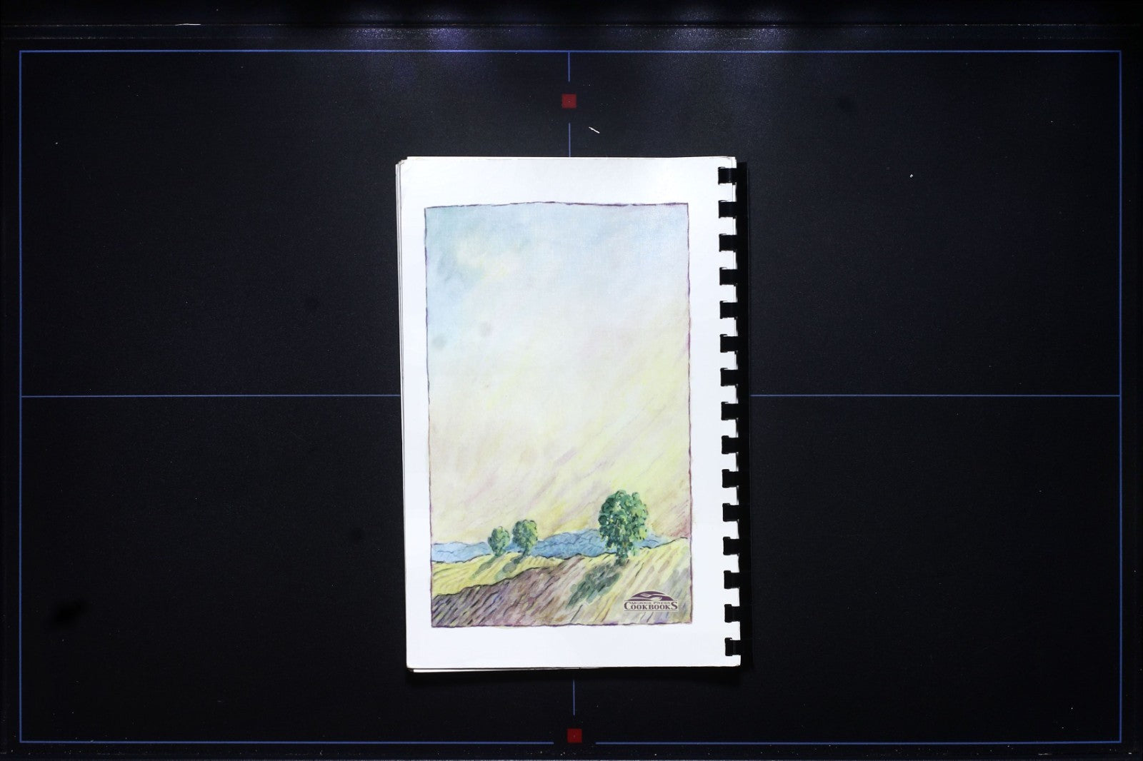 Amigos De Los Ninos Cookbook (2003) - Little Rock, Arkansas - Vintage Community