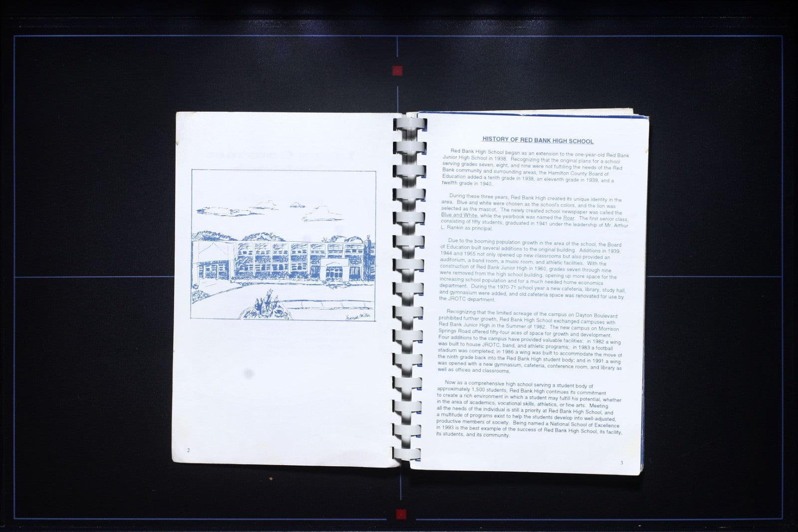 Lions Gourmet Cookbook (1996) - Vintage Recipes - Red Bank High School Tennessee