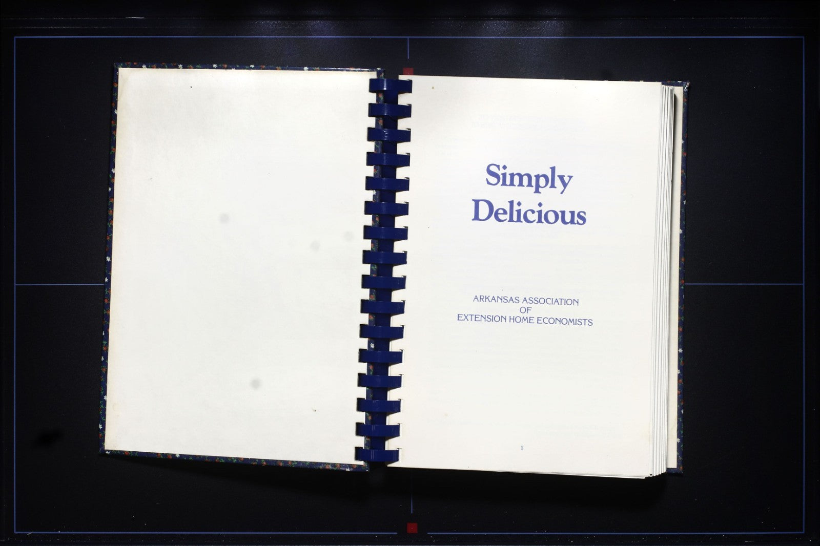 Simply Delicious (1992) Cookbook - Arkansas Extension Recipes - Vintage 90s