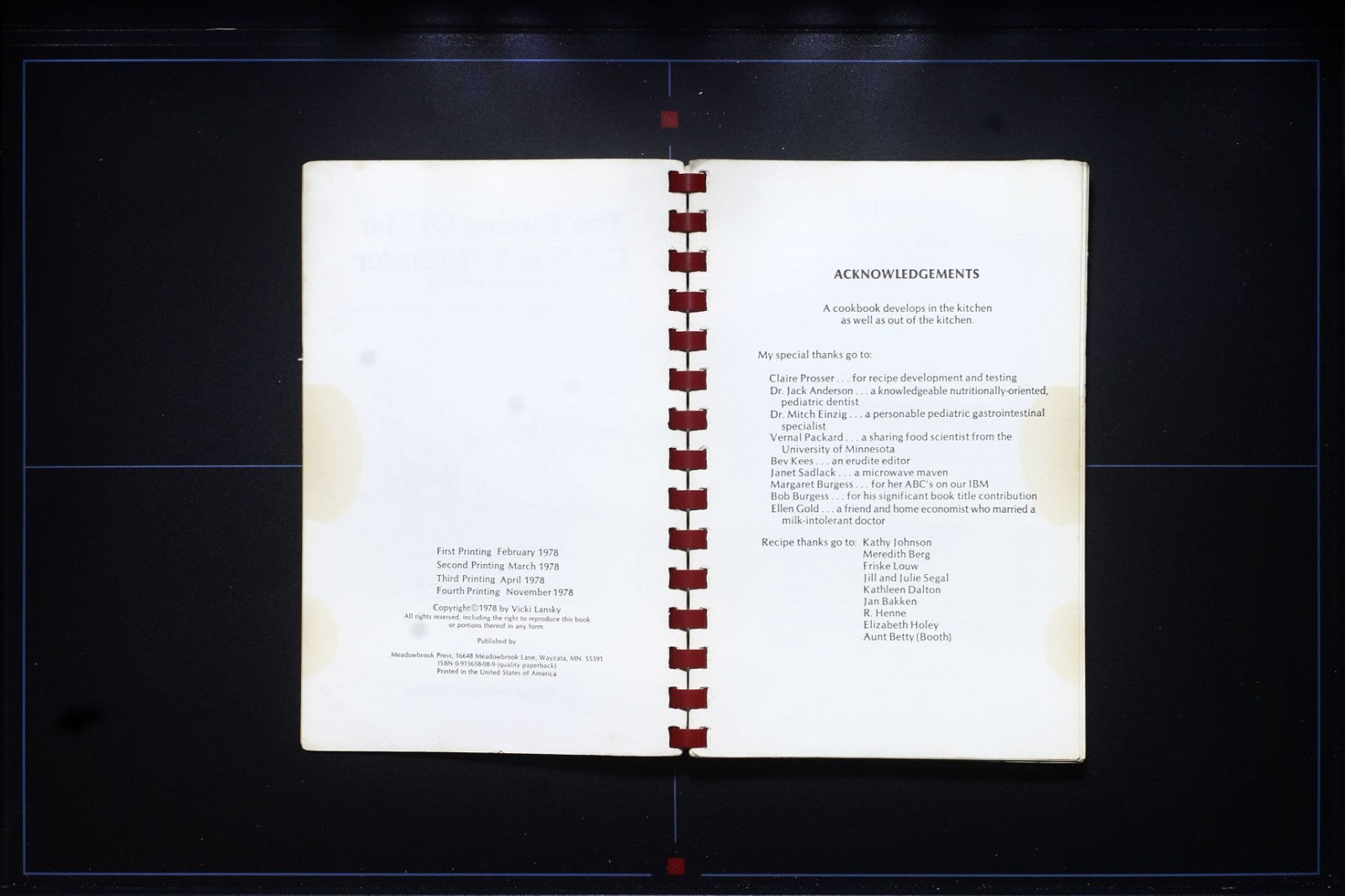 The Taming of The Candy Monster Cookbook - Vicki Lansky