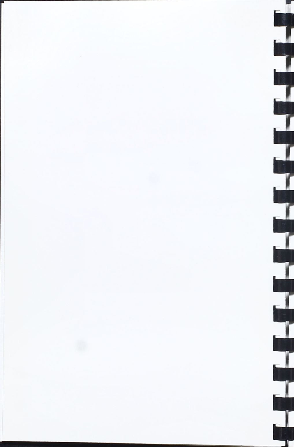 A Taste of Healthy Southeast Asian Cuisine - Susan Ang - Cookbook Recipes