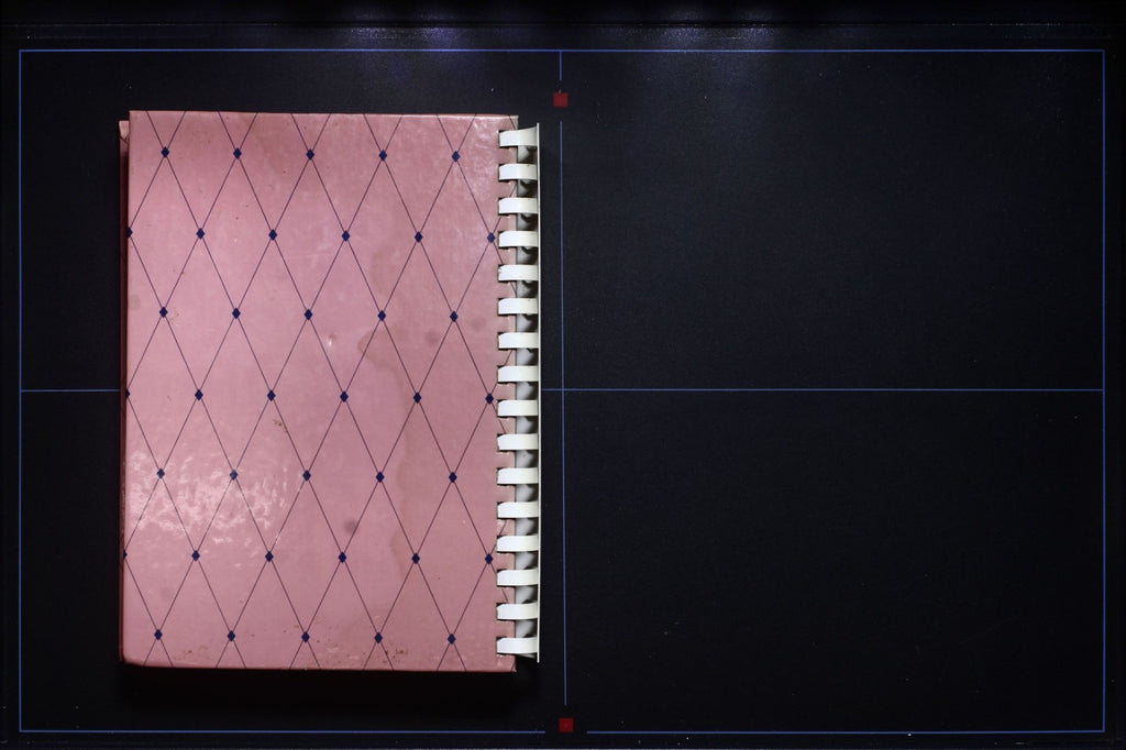 Arkansas Sesquicentennial Cookbook - Celebration (1986) - Vintage Recipes