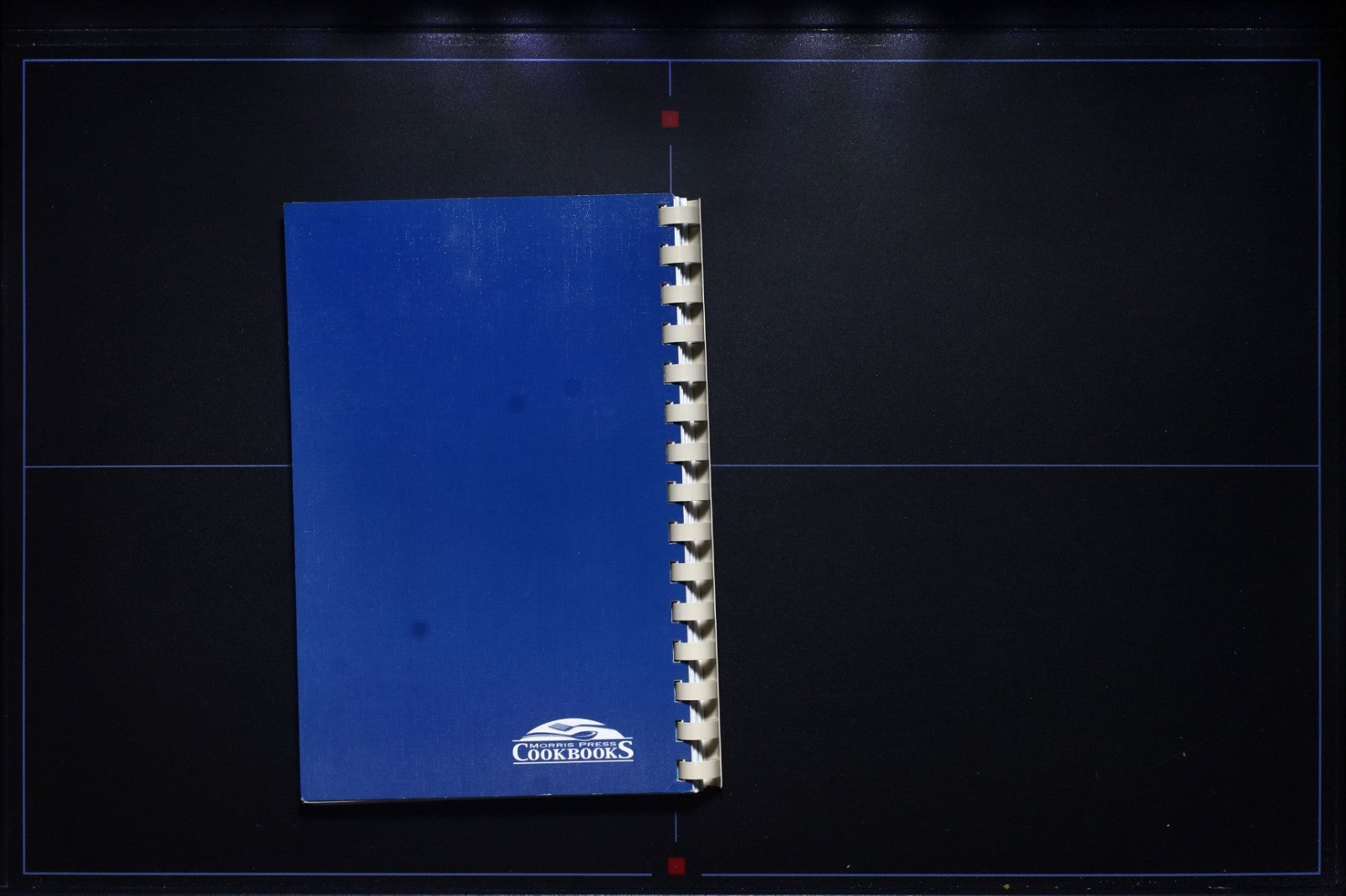 Blue Ribbon Recipes (2001) - Mountain Home, Arkansas - Vintage Cookbook