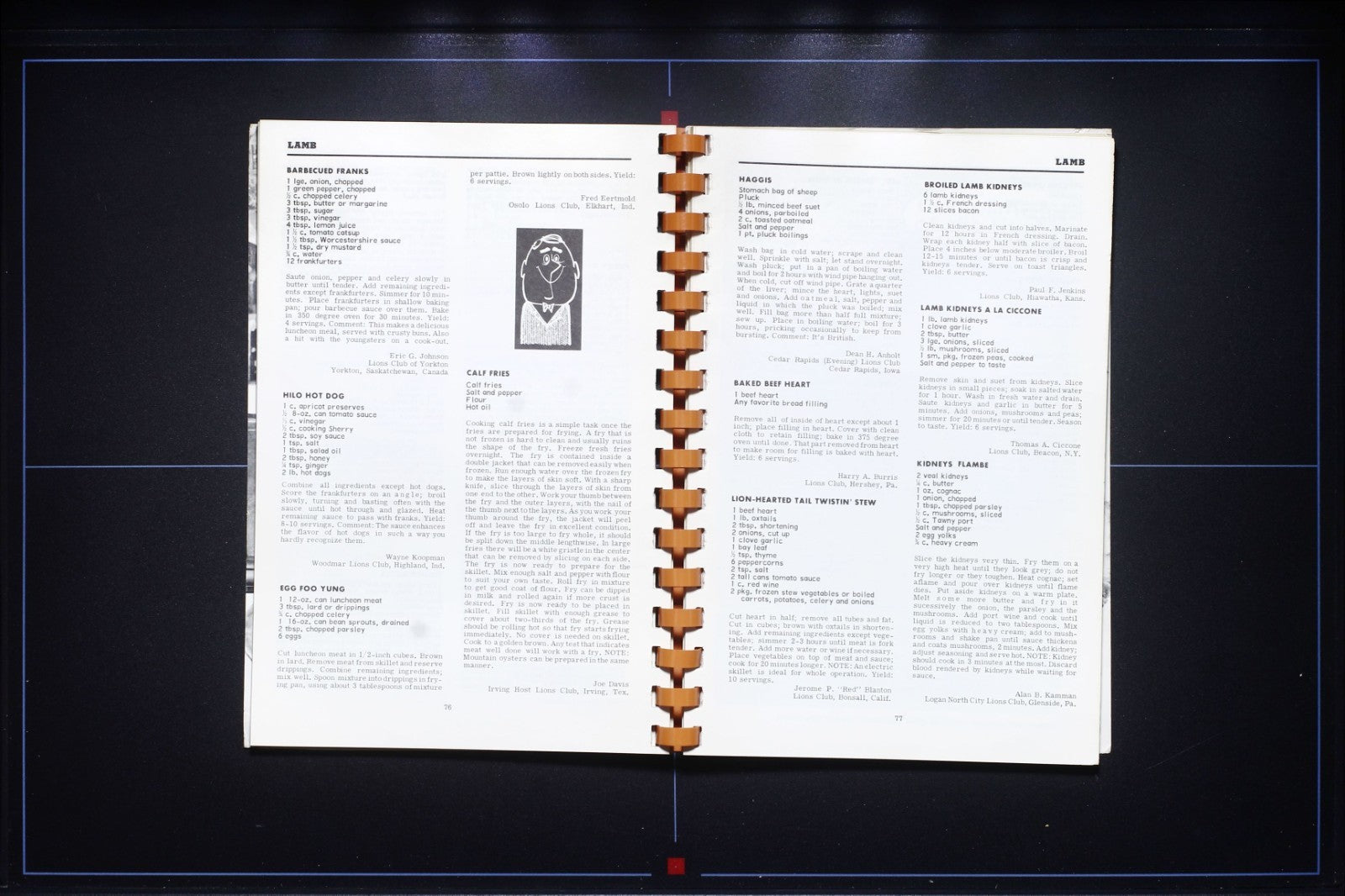 A Lion in the Kitchen: Meats Cookbook - Montgomery, Alabama - Recipes