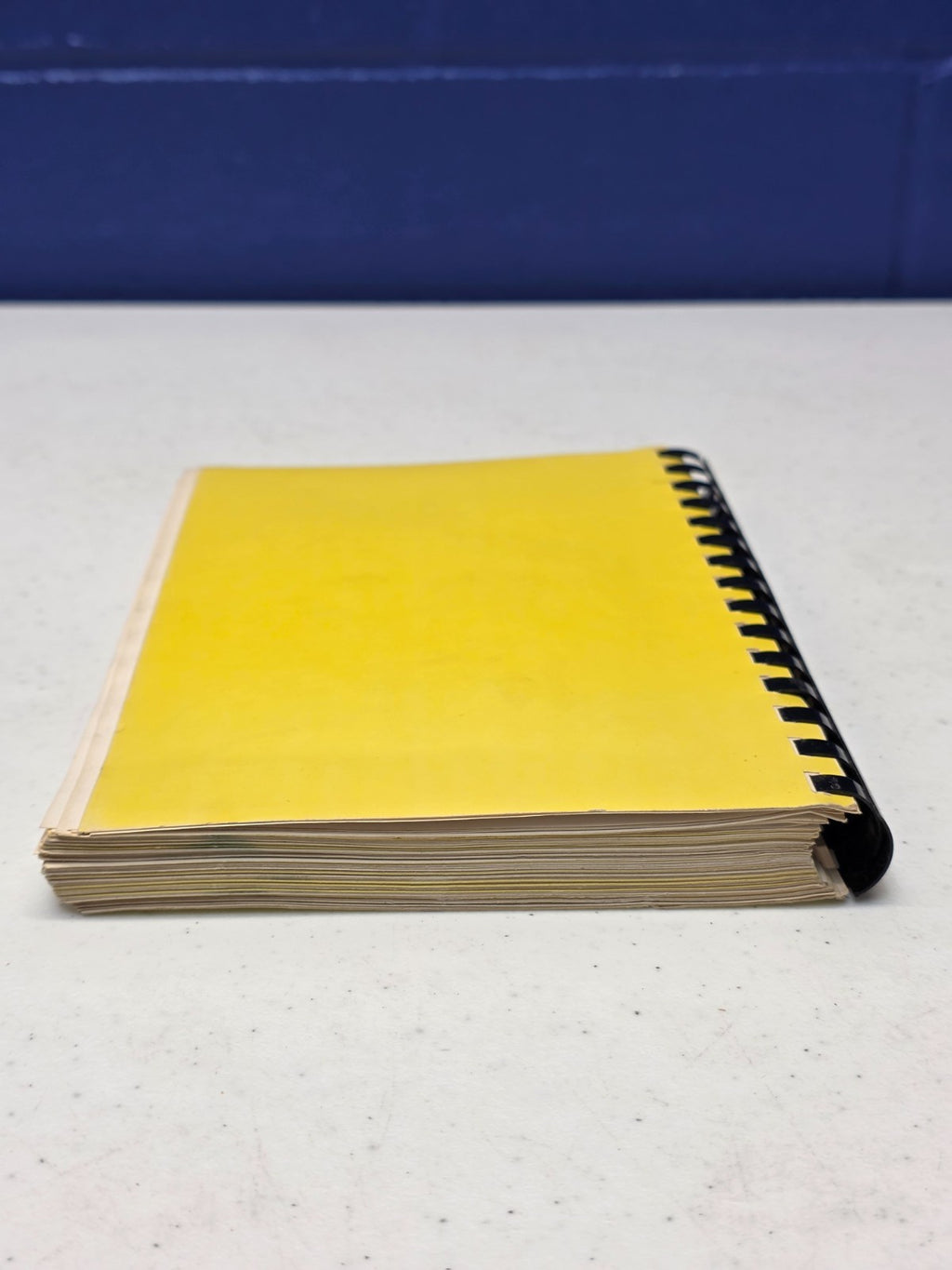 Measure for Pleasure Cookbook - Swedish - Lindsborg, Kansas - Bethany College