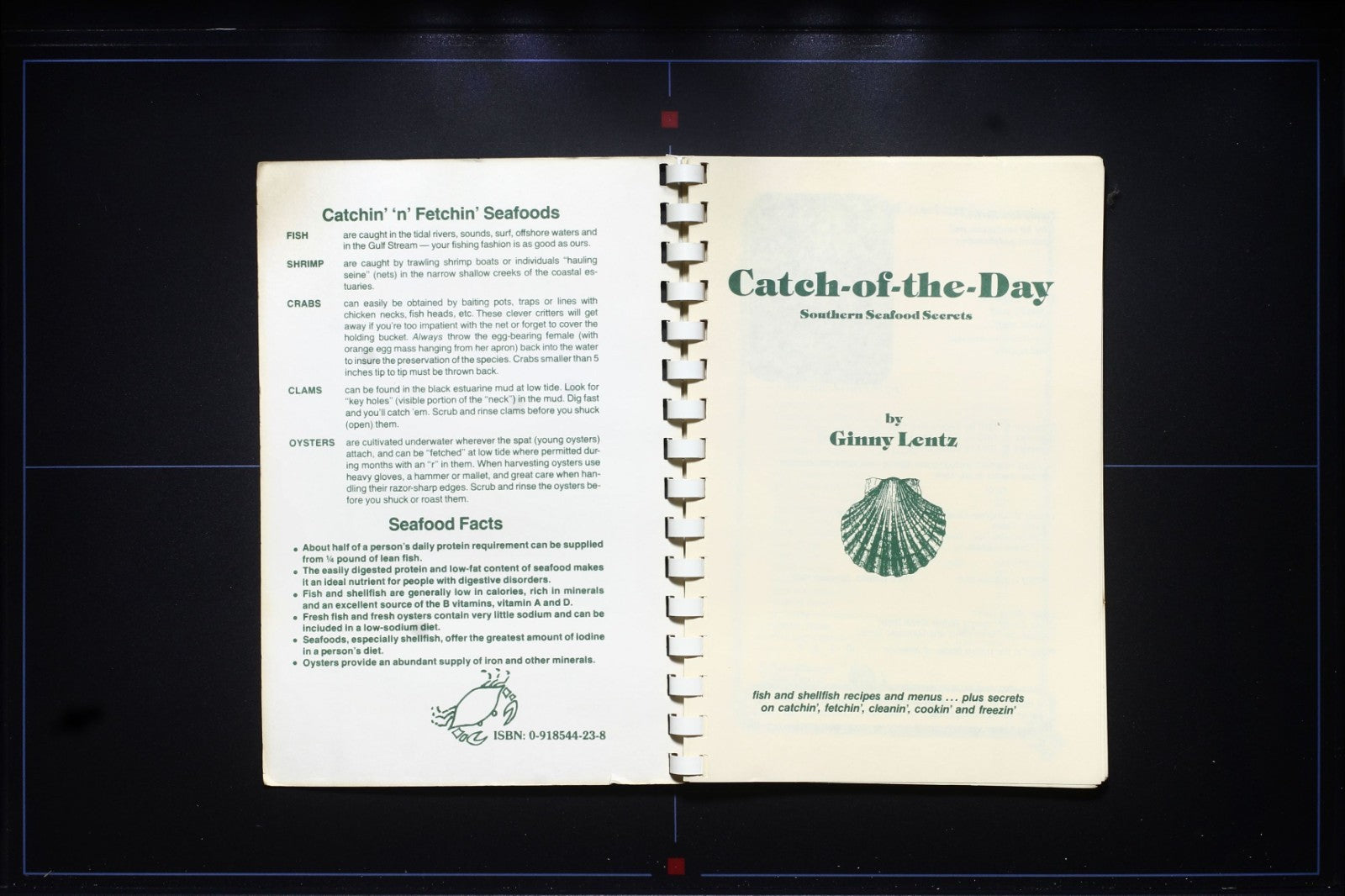 Catch of the Day: Southern Seafood Secrets Cookbook - Vintage Recipes