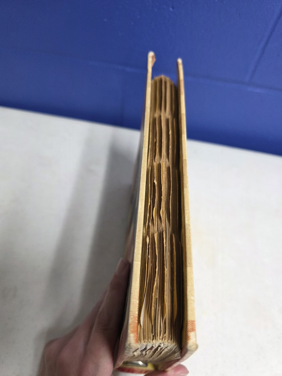 Better Homes And Gardens New Cookbook (1953), First Edition (3rd Print) Binder