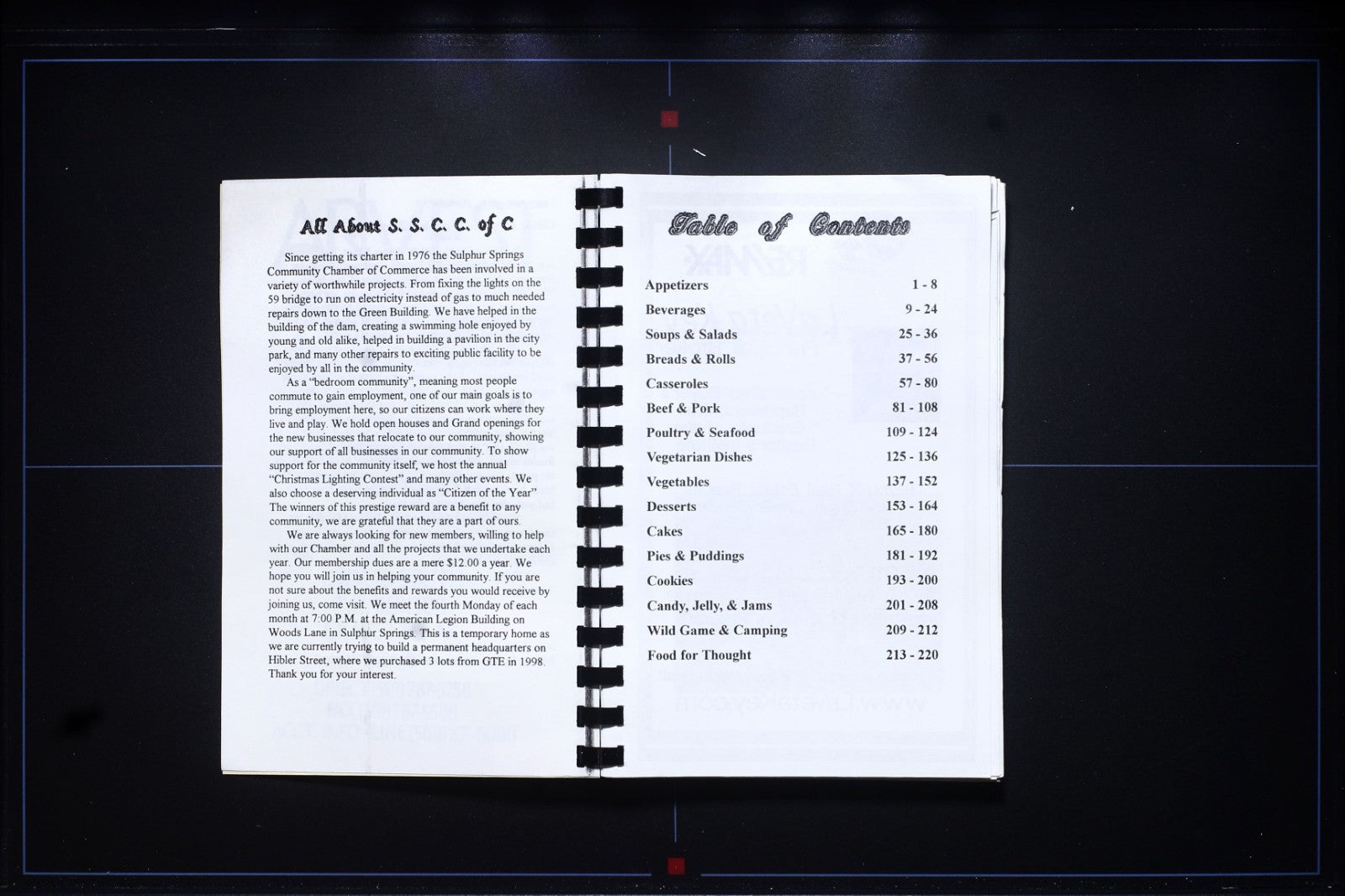 Sulphur Springs Cookbook - Vintage Arkansas Community Recipes - 90s