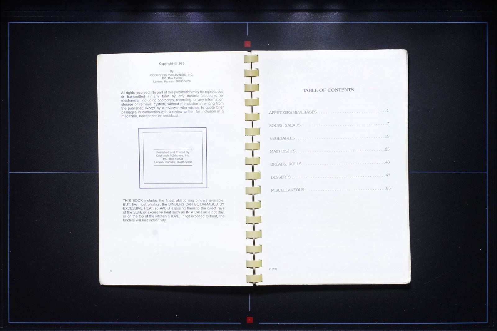 Recipes Old and New Cookbook (1995) - Lioness Club - Chase City, Virginia