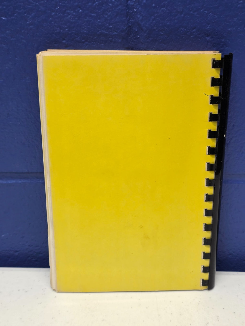 Measure for Pleasure Cookbook - Swedish - Lindsborg, Kansas - Bethany College